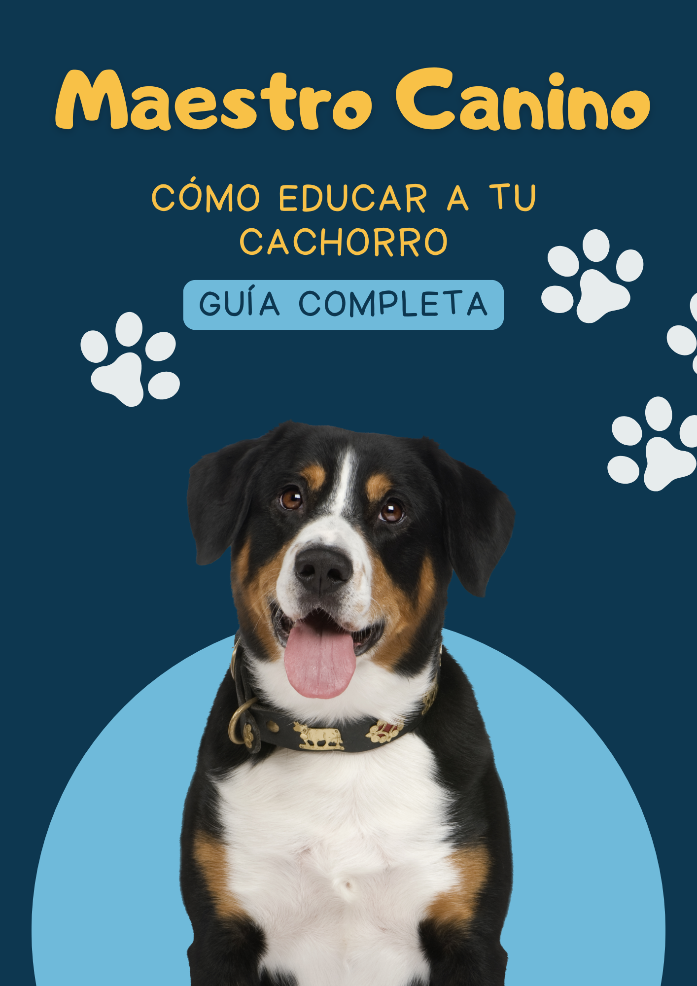 Adiestramiento Canino